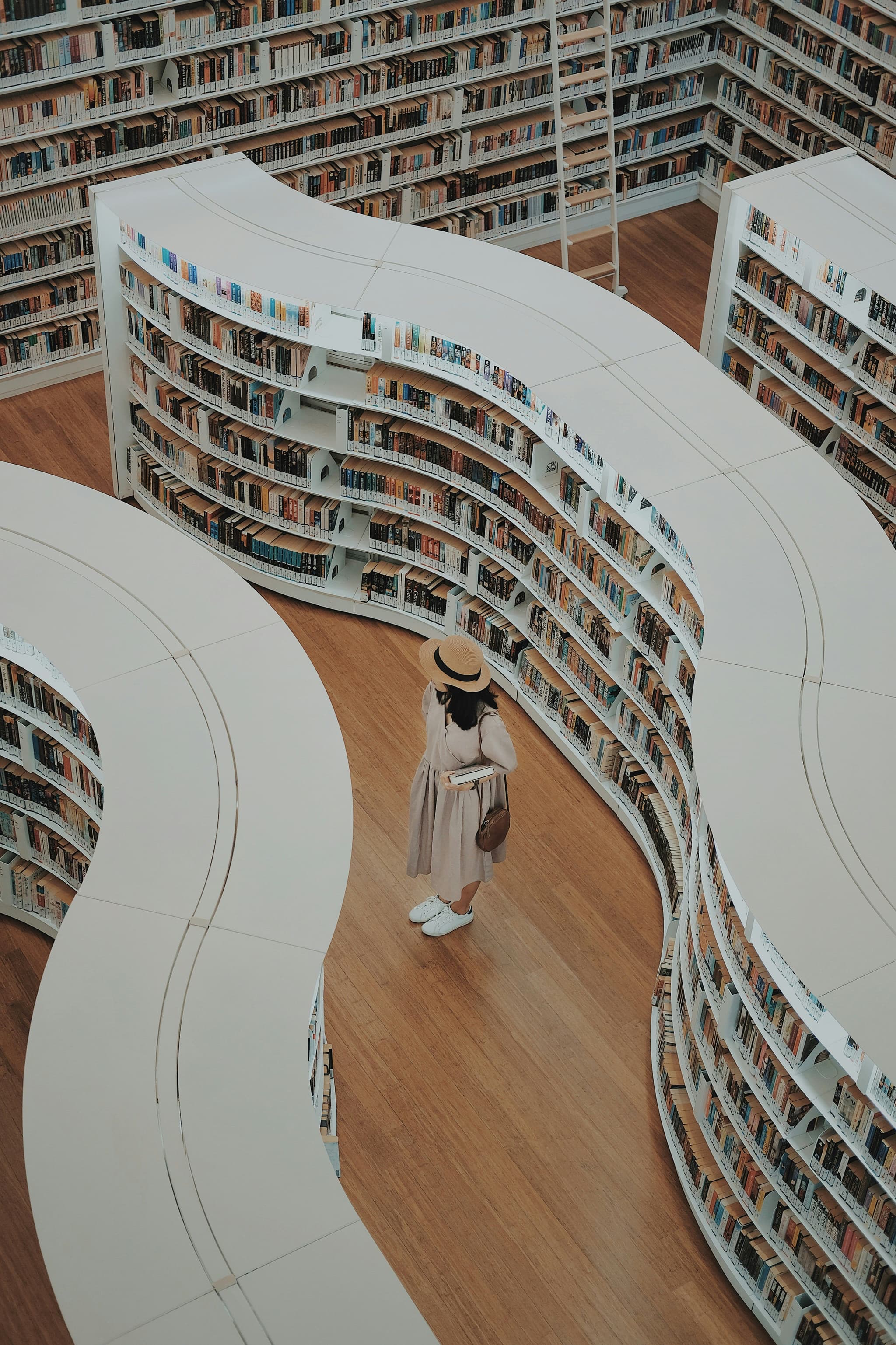 Support Underground Libraries